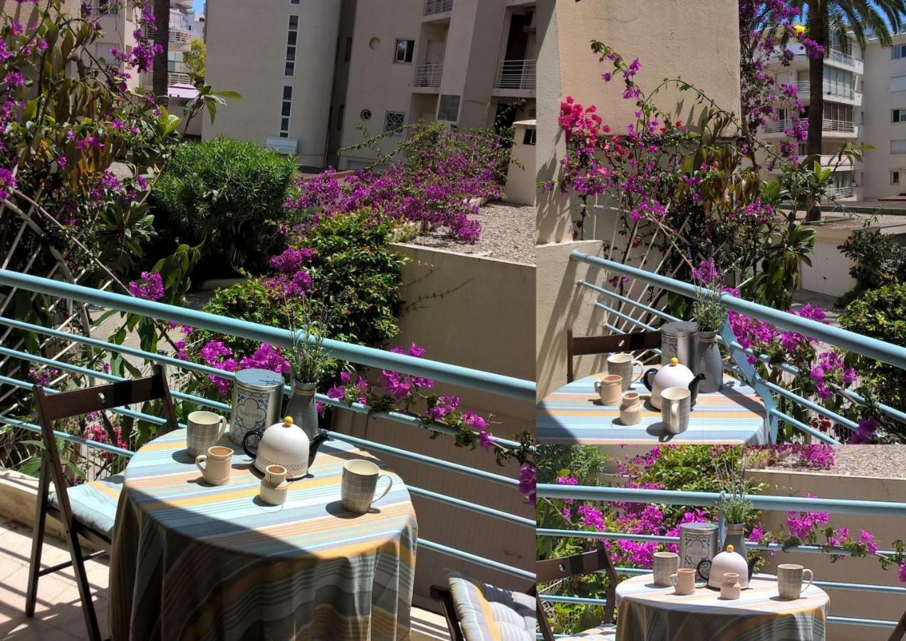 Le Petit Magellan Apartment Cannes Exterior foto